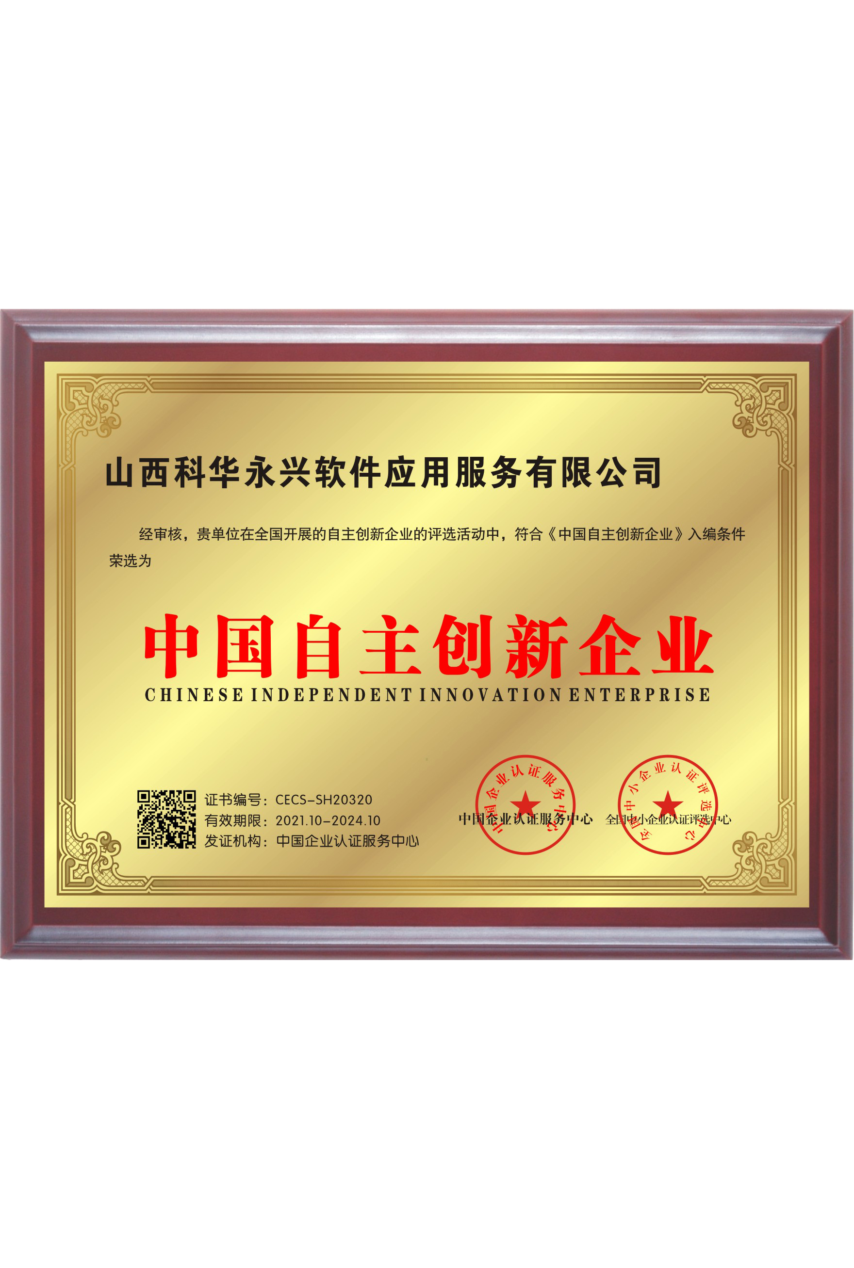 中国自主创新企业