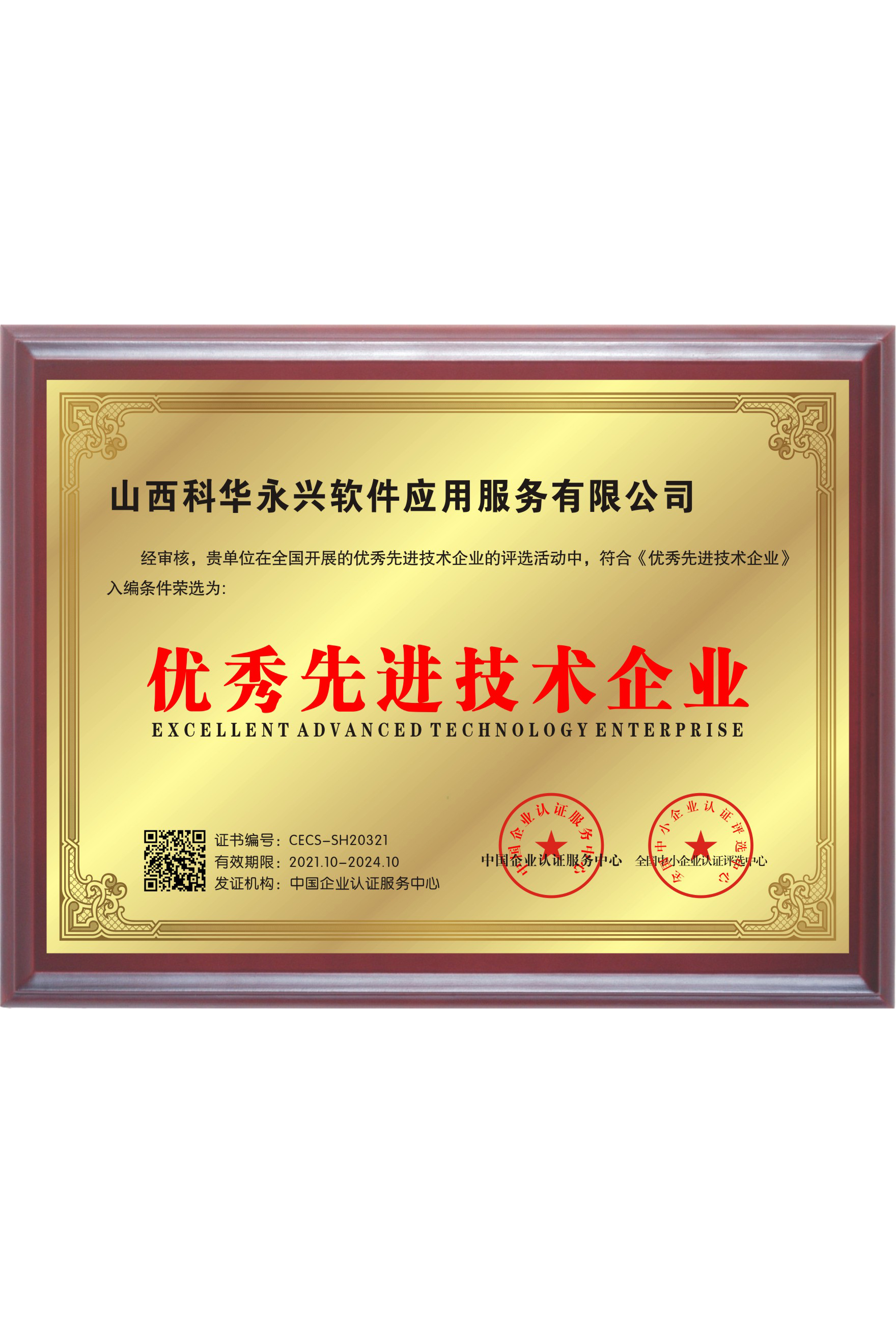 优秀先进技术企业